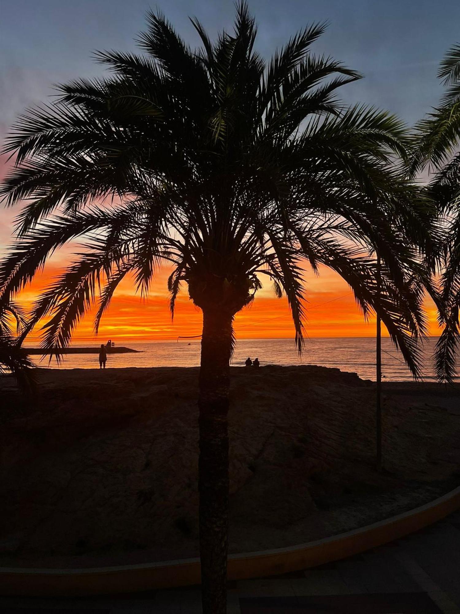 Modern Apartment Directly On The Beach With Wifi And Air Conditioning El Campello Exterior foto